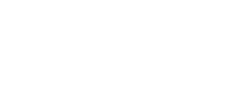 2016 Telly Award Winner