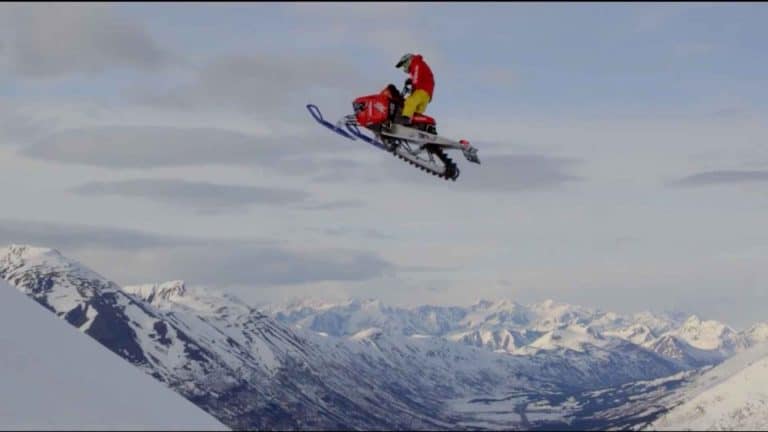 link to portfolio item