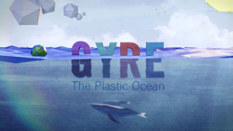 link to portfolio item