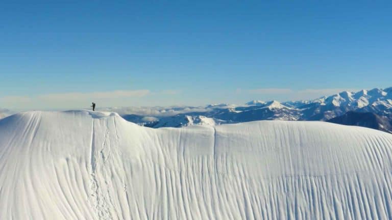 link to portfolio item